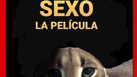 seso porno|sexo